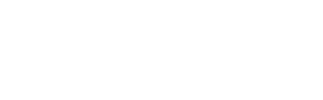 INTELLIGENCE FOR CULTURE